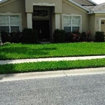 Lawns by EcoFloridian