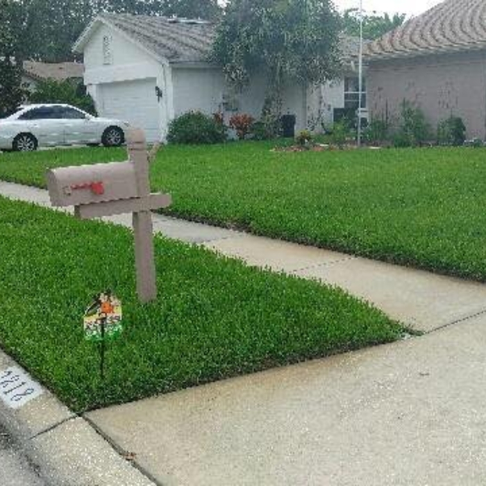 Lawns by EcoFloridian