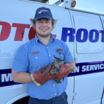 Kitten Rescue from Outdoor Drain