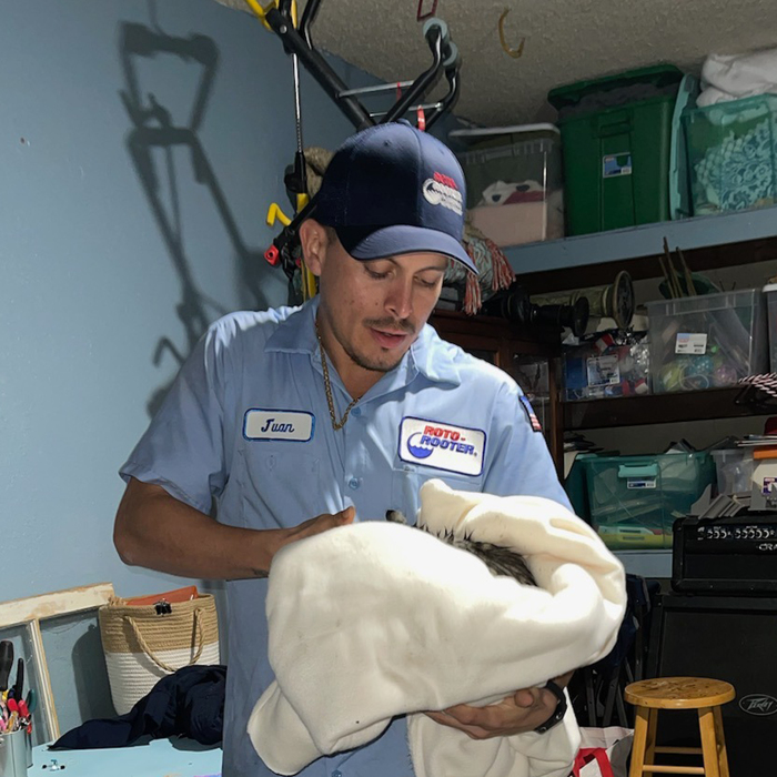 Kitten Rescue from Garage Drain