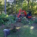 Before pic heavily wooded