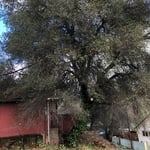 Structural clearance job