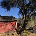 After Structural Clearance Pruning