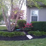 Mulch/Trim