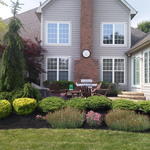 Mulch installed and shrubs trimmed