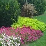 Landscaping Commercial
