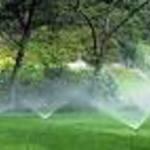 Proper Sprinkler Coverage