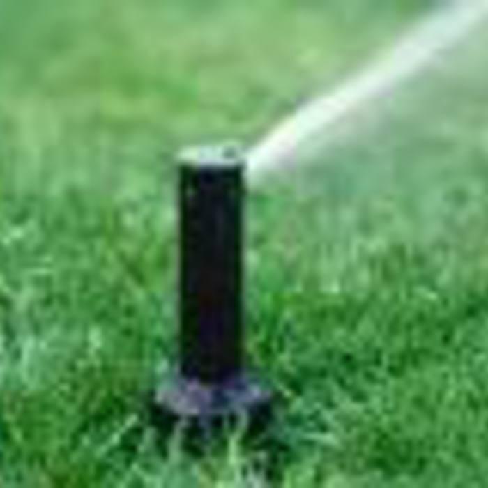 Sprinkler Head