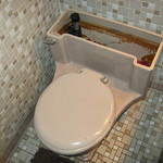 Toilet Repairs