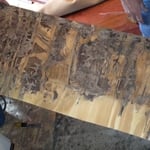 TERMITE DAMAGE