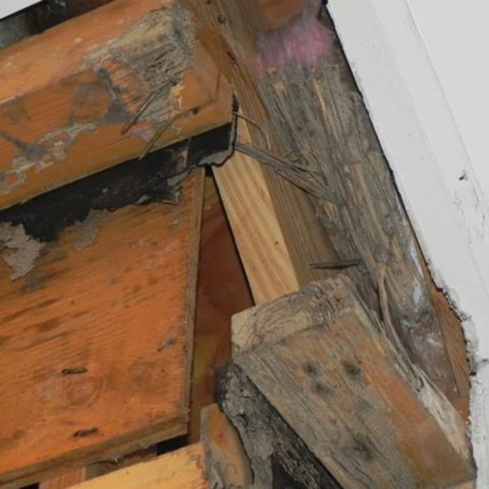 TERMITE DAMAGE