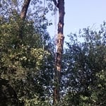 Rope Safety