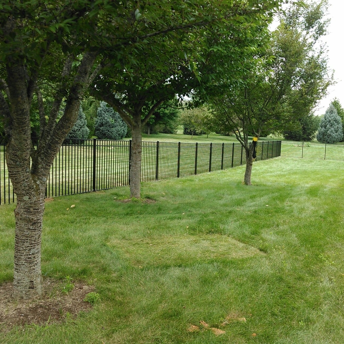 Aluminum Pool fence