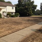 Lawn Renovation before seeding