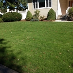 Lawn Renovation