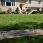 Lawn Renovation