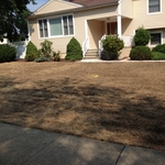 Lawn Renovation