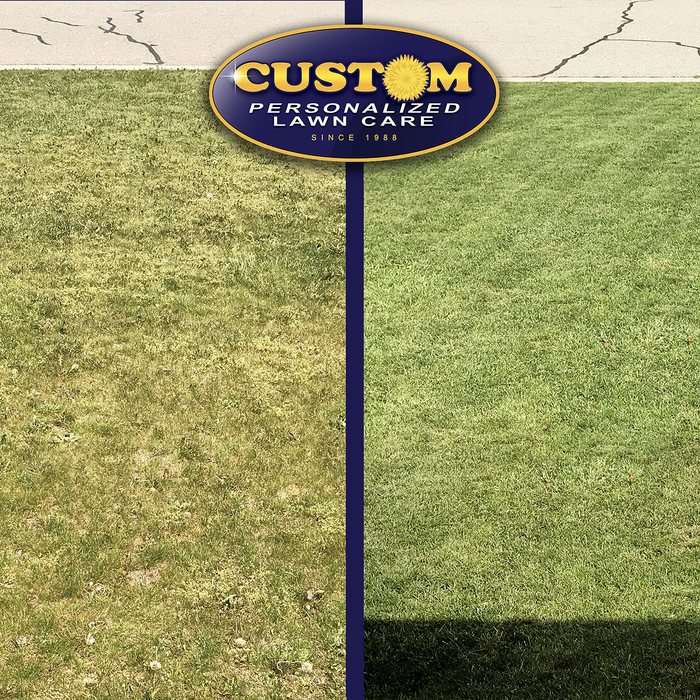 Custom Personalized Lawn Care Before & After