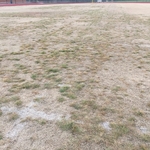 Herrin Football 04/13/2018