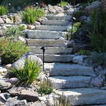 Landscape/ Hardscape