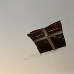 Untitled Gallery 3