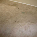 Before Carpet Cleaning