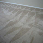 After Carpet Cleaning