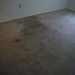Before Carpet Cleaning