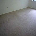 After Carpet Cleaning