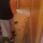 Carpet