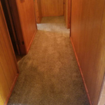 Carpet