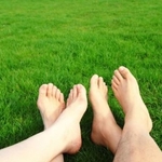 Lawn Care