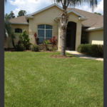 Lawn