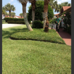 lawn