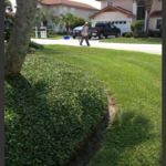 Lawn
