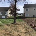 Leaf removal