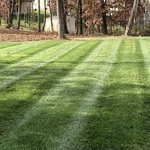 Leaf removal