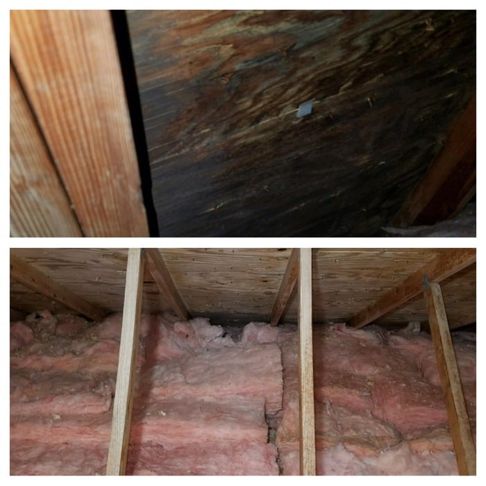 Attic Photo Before and After