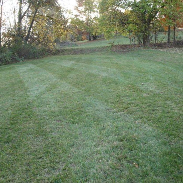 lawn care work
