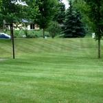 lawn care work