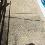 Pool - Concrete
