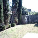 Wood Fence (Before)