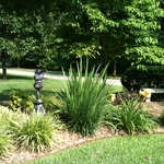 Perennial Bed (front yard)