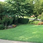 Front Beds