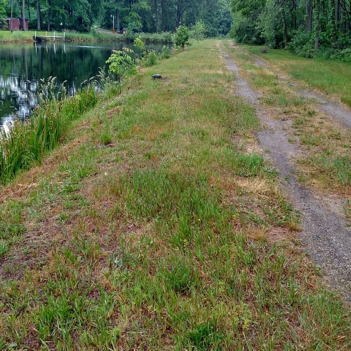 100 acres is a lot of property