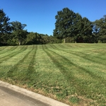 Lawn Cut