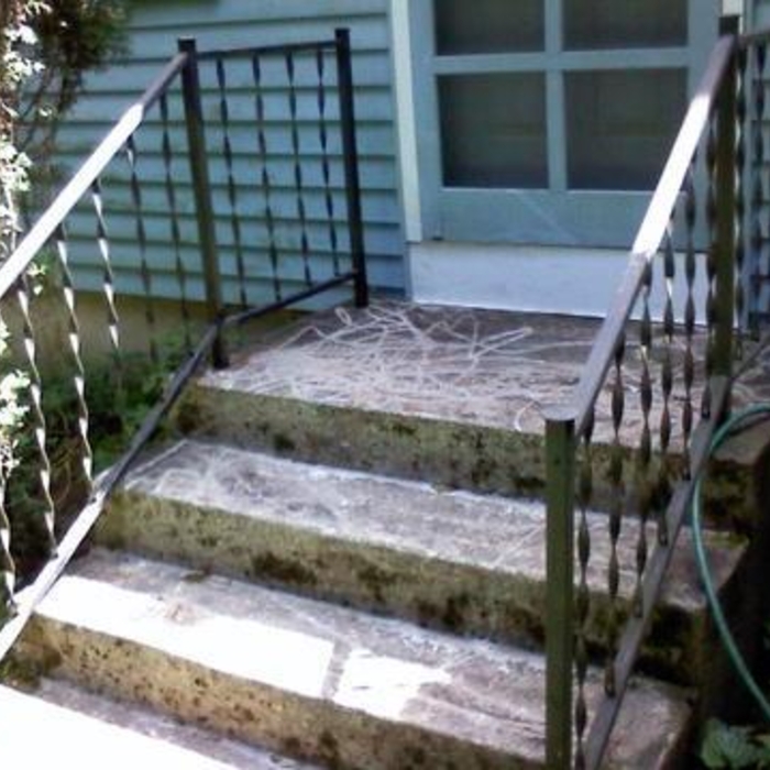 Our Work