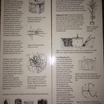 Untitled Gallery 5