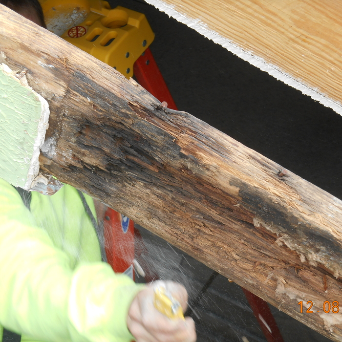 rotten ceiling joist