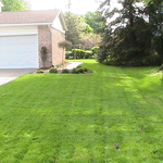 After 1st mow